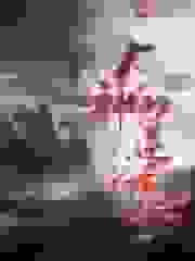 我家的厕所通异界