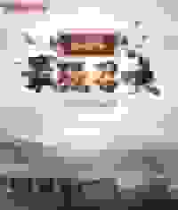 三国之最强召唤