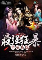 最强狂暴幸运系统