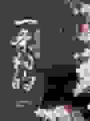 一条狗的修真使命