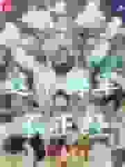 这个海军不正经