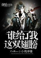 谁给了我这双翅膀