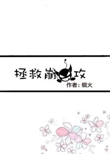 拯救崩坏攻［重生］