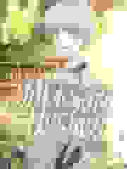 木叶之旗木家的快乐风男