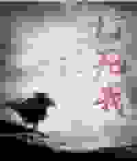 反派都想打死我