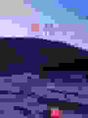 傻子的燃情岁月