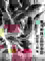 重生龙珠之异世争霸