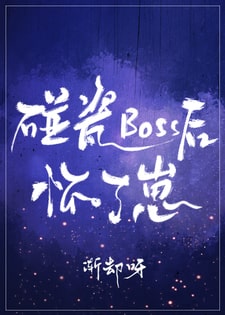 碰瓷boss后怀了崽