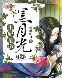 王妃是道黑月光沈清瞳司凌染