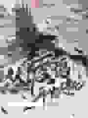 从渡鸦开始进化