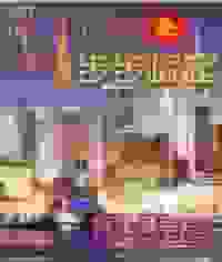 都市之步步崛起