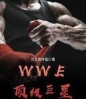 WWE顶级巨星