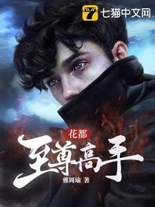 花都至尊高手