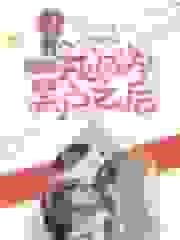 罗曼理论帝之歪着上巅峰