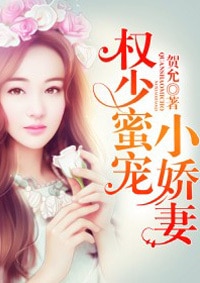 权少的独家宠爱