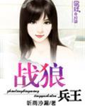战狼兵王