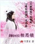 镜花水月：相思锁