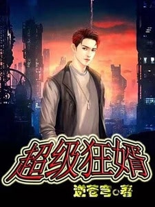 超级狂婿