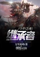 守护之魂继承者