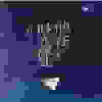 他站在时光深处