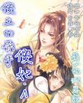 傻王的杀手傻妃.A