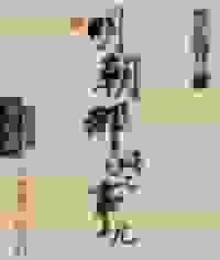 明朝那些事儿（全集）