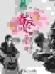 春风吹尽花不开