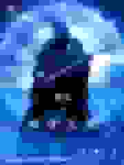 重生之殿堂乐队