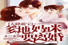 萌宝妈咪要离婚