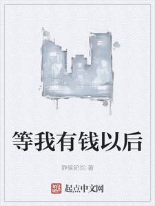 等我有钱以后
