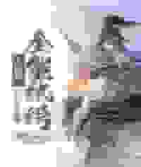 大唐第一全能纨绔