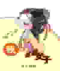 我就是这般女子