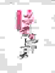 农女不简单帝君宠上天