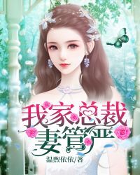 我家总裁妻管严