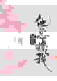 兄长他总撩我（穿书）