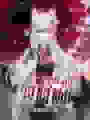 二次元的阴阳师