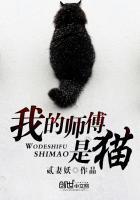 我的师傅是猫