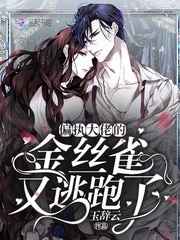 偏执大佬的金丝雀又逃跑了