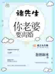 褚先生，你老婆要离婚