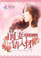 婚宠倒计时：前妻，请入怀