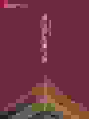 我为国家修文物