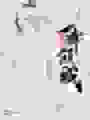 心之所动一舞倾城