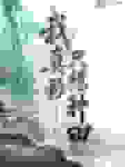 我真的只想种田