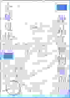 全球进化后我站在食物链顶层