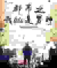 都市之我就是男神