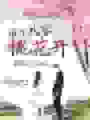 重生八零桃花开