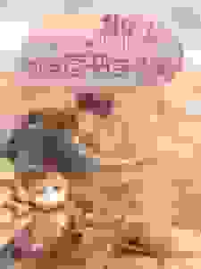 御兽：我用读书学技能