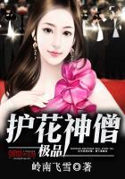 极品护花神僧