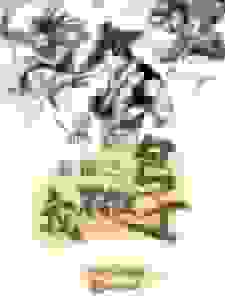 水浒之我不做包子