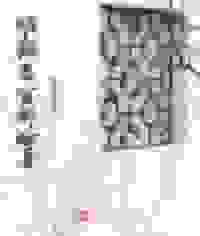 明朝当官那些年